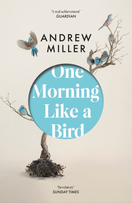 One Morning Like a Bird