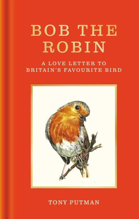 Bob the Robin